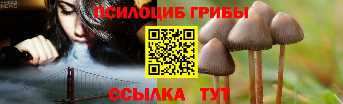 Сухой Лог  магазин продажи наркотиков  Вход с VPN  Псилоцибиновые грибы Magic Shrooms 